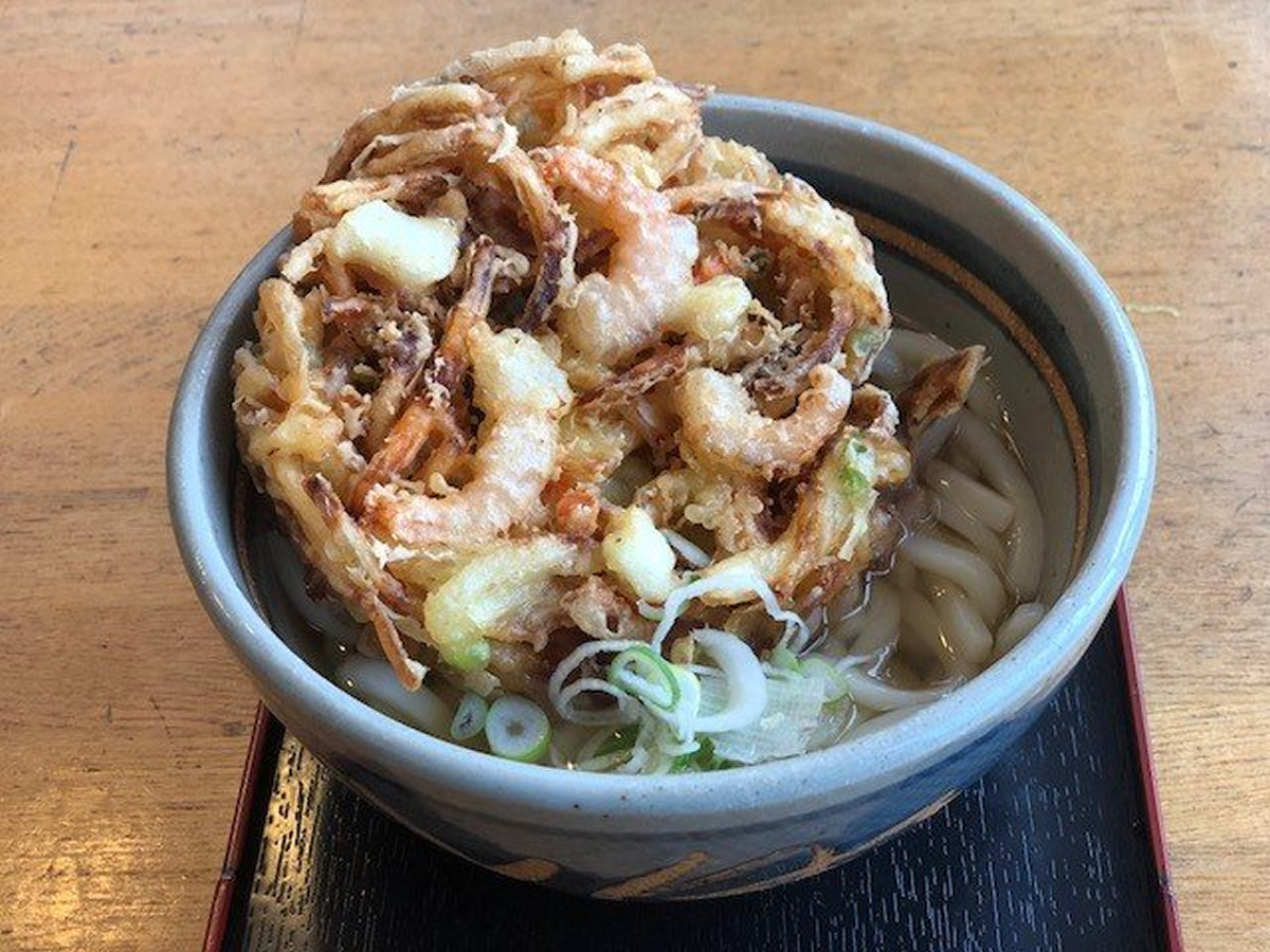 ジャンボかき揚げうどん